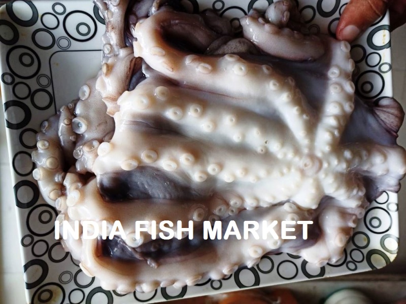 IQF Frozen Octopus